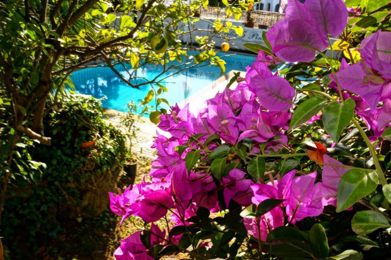 Villa Cinque Pini Casamicciola Terme Esterno foto