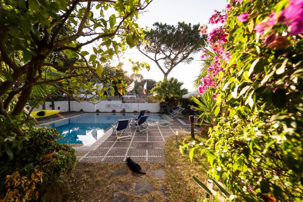 Villa Cinque Pini Casamicciola Terme Esterno foto