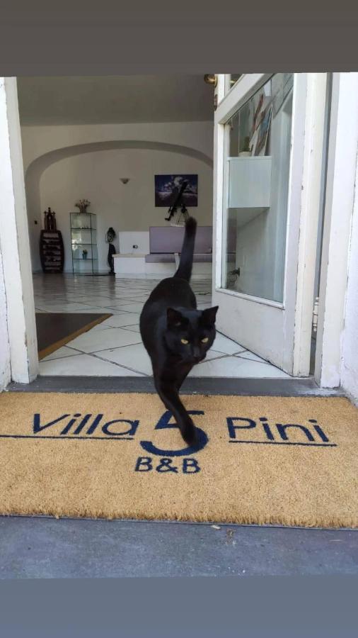 Villa Cinque Pini Casamicciola Terme Esterno foto