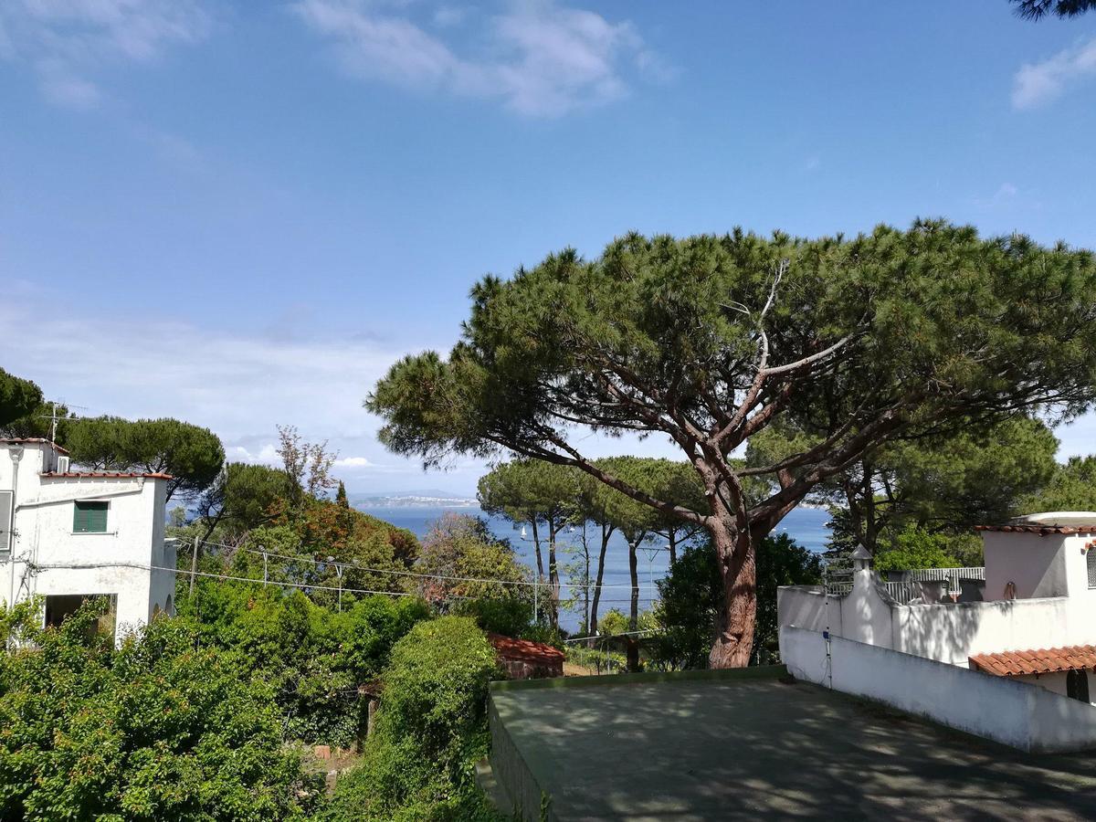 Villa Cinque Pini Casamicciola Terme Esterno foto
