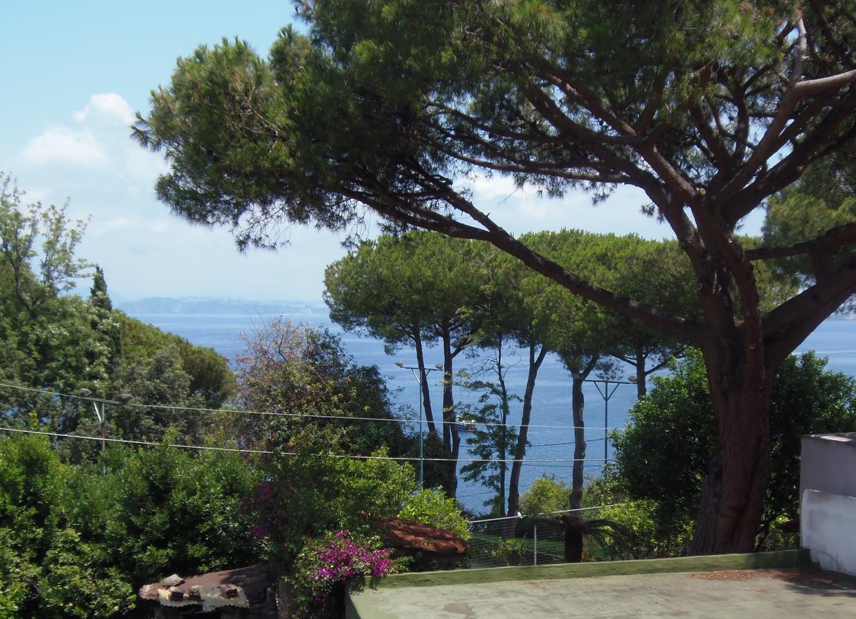Villa Cinque Pini Casamicciola Terme Esterno foto